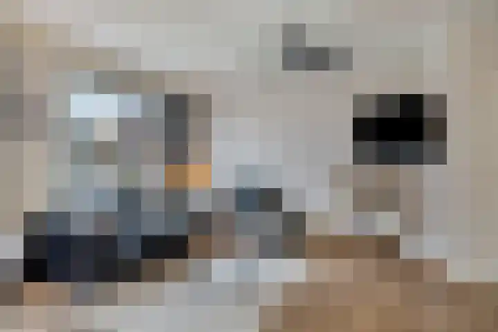 Kievietdonk 28 Veghel thumbnail 7