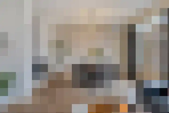 Kievietdonk 28 Veghel thumbnail 8