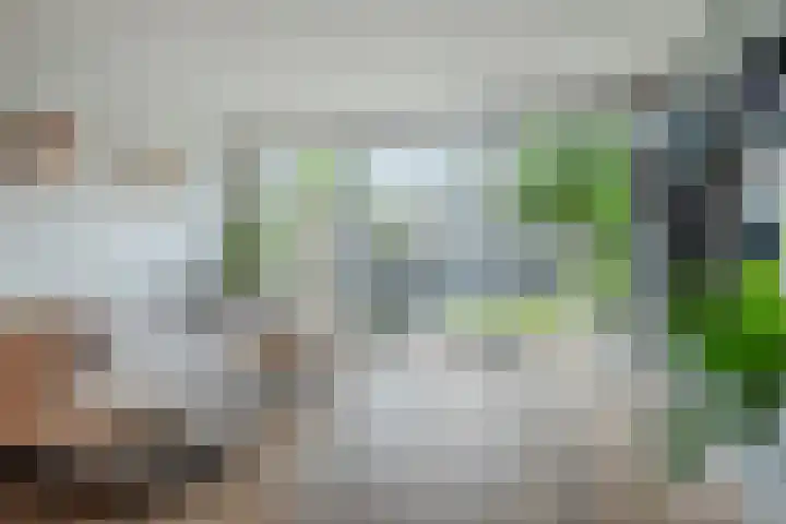 Kievietdonk 55 Veghel thumbnail 10