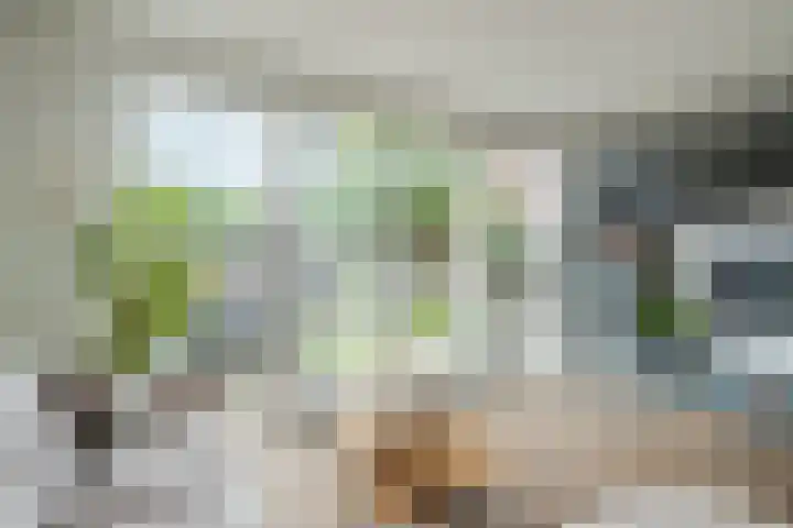 Kievietdonk 55 Veghel thumbnail 11