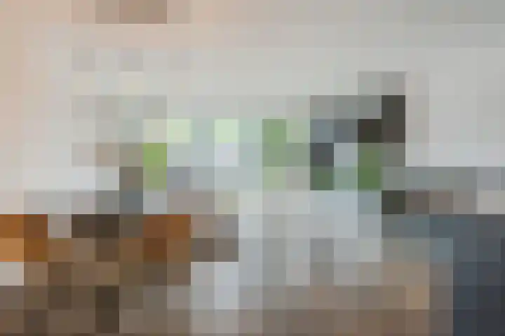 Kievietdonk 55 Veghel thumbnail 13