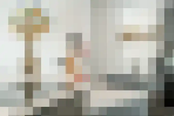 Kievietdonk 55 Veghel thumbnail 16