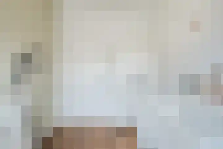 Kievietdonk 55 Veghel thumbnail 23