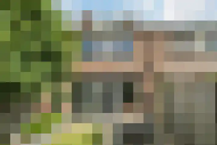 Kievietdonk 55 Veghel thumbnail 31