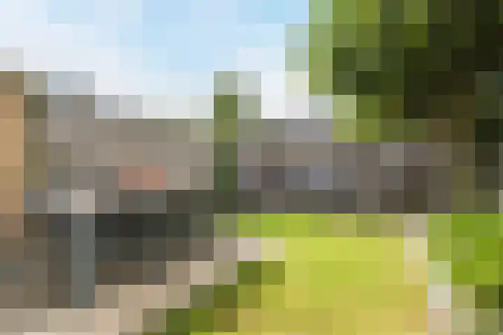 Kievietdonk 55 Veghel thumbnail 33