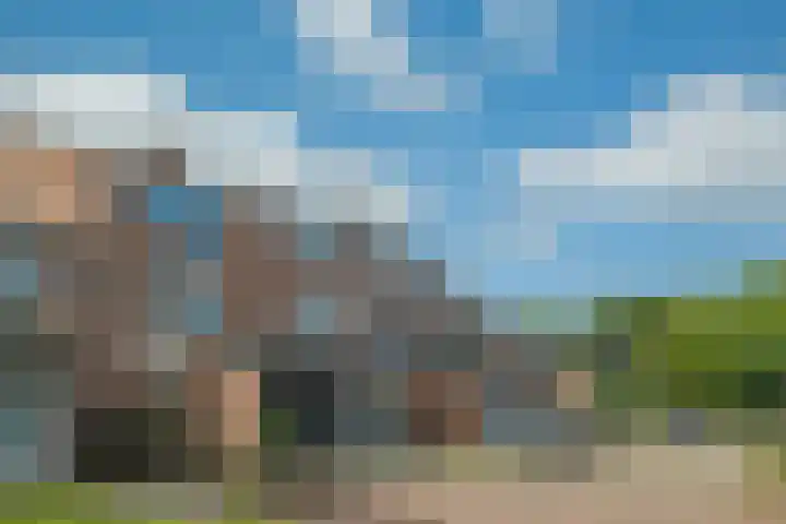 Kievietdonk 55 Veghel thumbnail 36