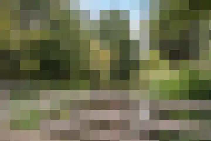 Kievietdonk 55 Veghel thumbnail 38