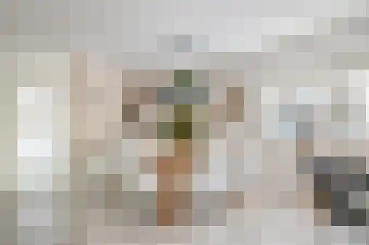 Kievietdonk 64 Veghel thumbnail 11