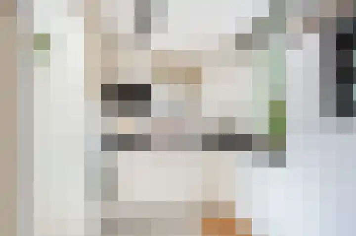 Kievietdonk 64 Veghel thumbnail 13