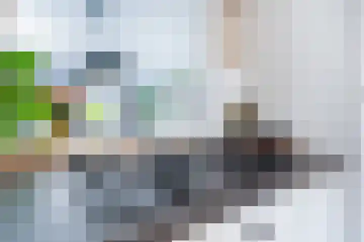 Kievietdonk 64 Veghel thumbnail 14