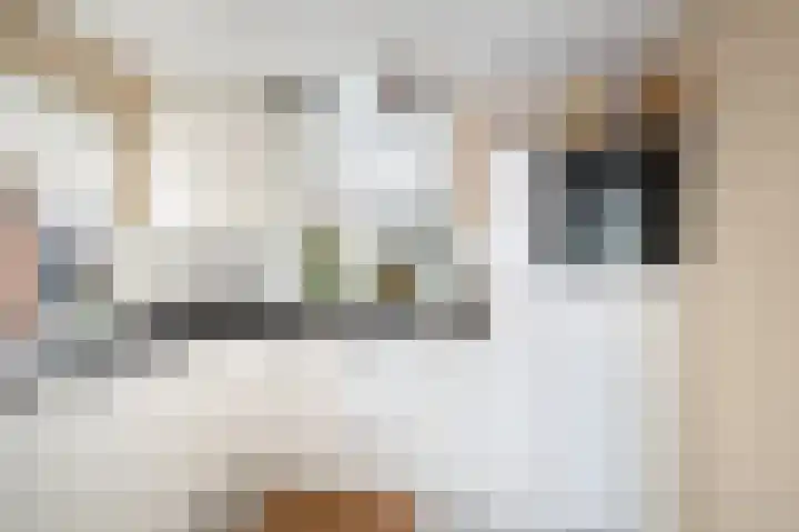 Kievietdonk 64 Veghel thumbnail 15