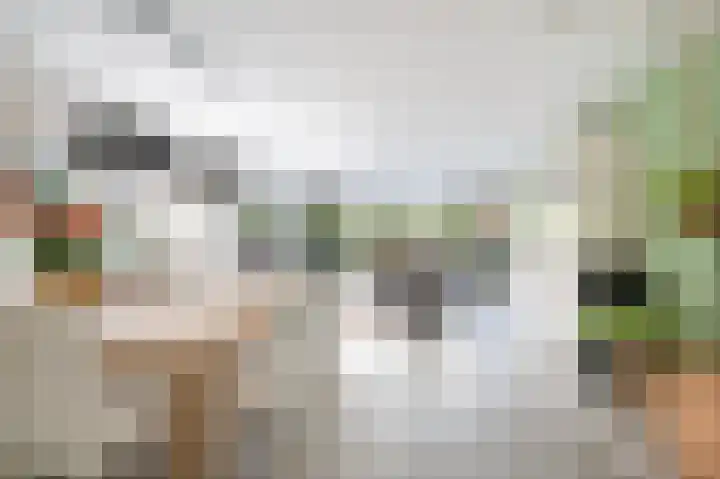 Kievietdonk 64 Veghel foto 2
