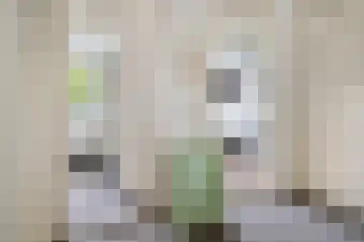 Kievietdonk 64 Veghel thumbnail 23