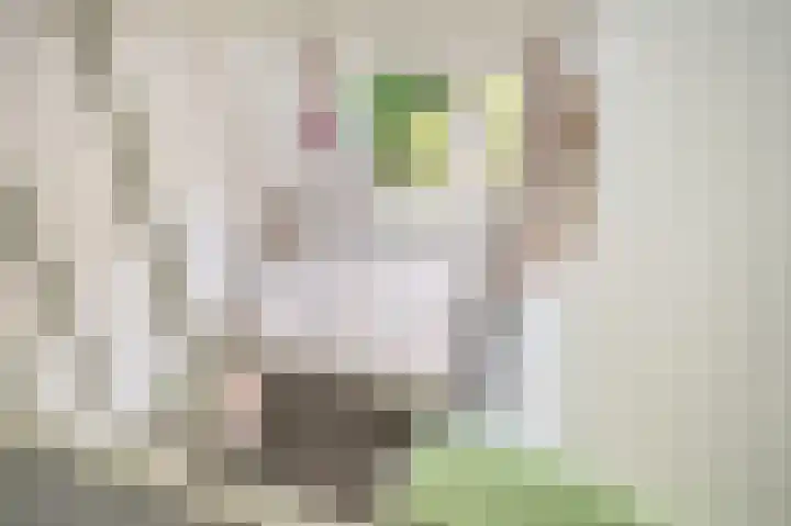 Kievietdonk 64 Veghel thumbnail 27