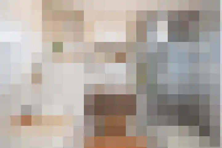 Kievietdonk 64 Veghel thumbnail 30