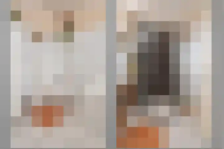 Kievietdonk 64 Veghel thumbnail 31