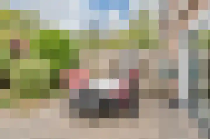 Kievietdonk 64 Veghel thumbnail 33
