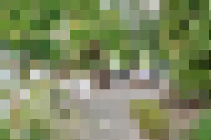 Kievietdonk 64 Veghel thumbnail 35