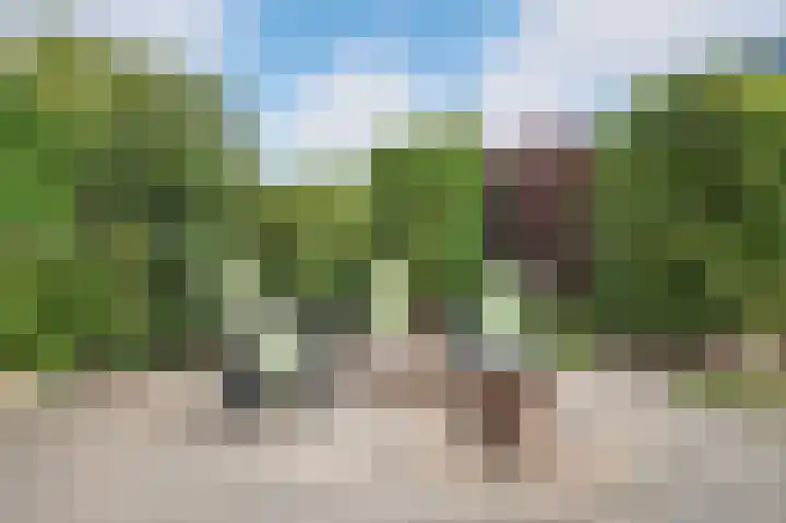 Kievietdonk 64 Veghel thumbnail 36