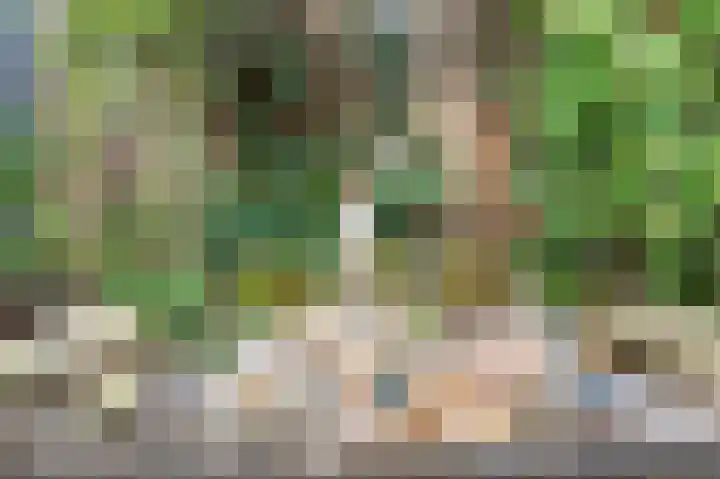 Kievietdonk 64 Veghel thumbnail 37