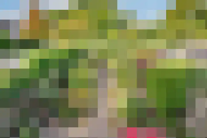 Kievietdonk 64 Veghel thumbnail 4