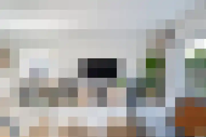 Kievietdonk 64 Veghel thumbnail 8