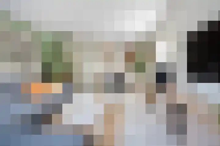 Kievietdonk 64 Veghel thumbnail 9