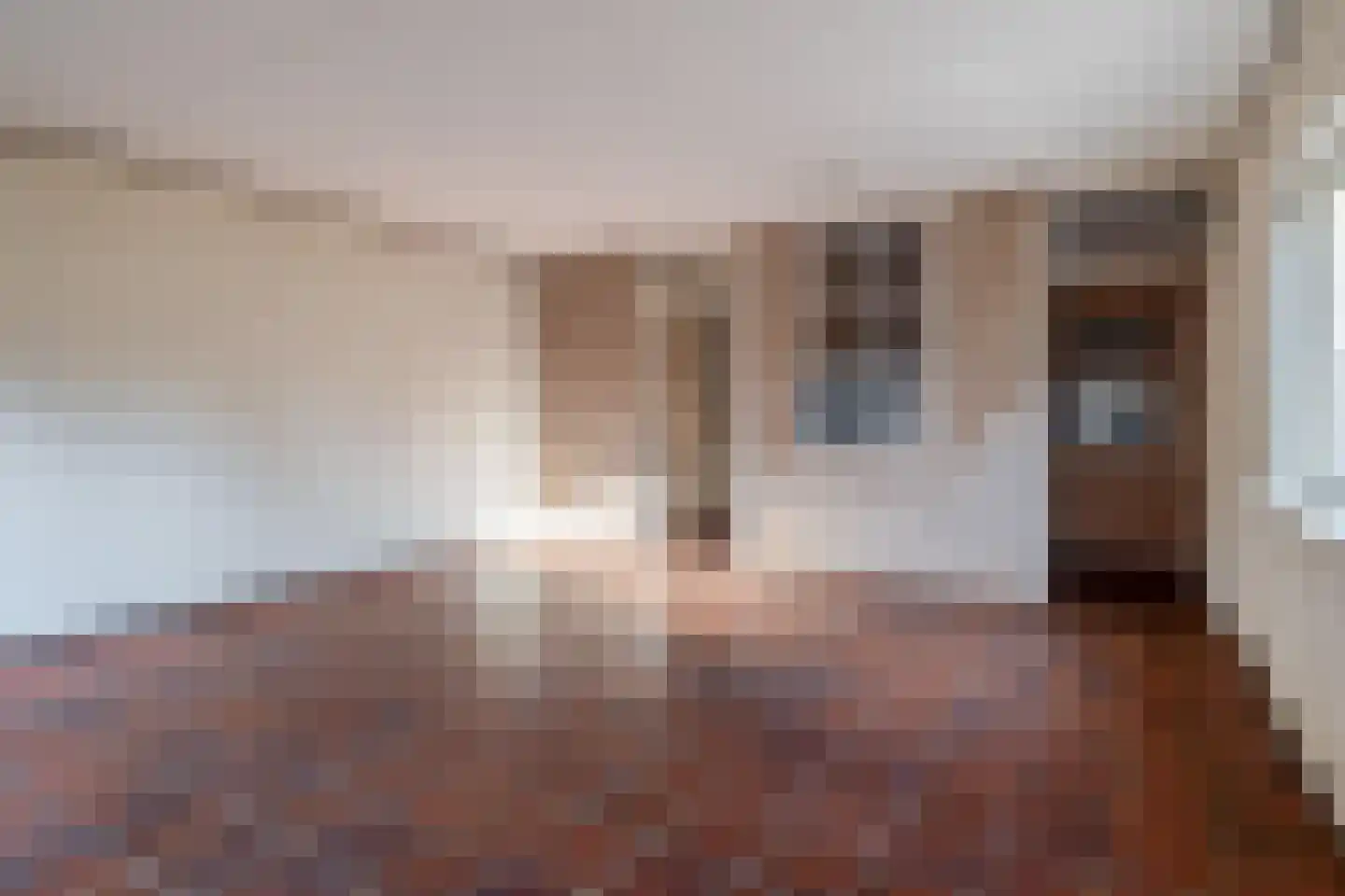 Kievietdonk 85 Veghel thumbnail 12