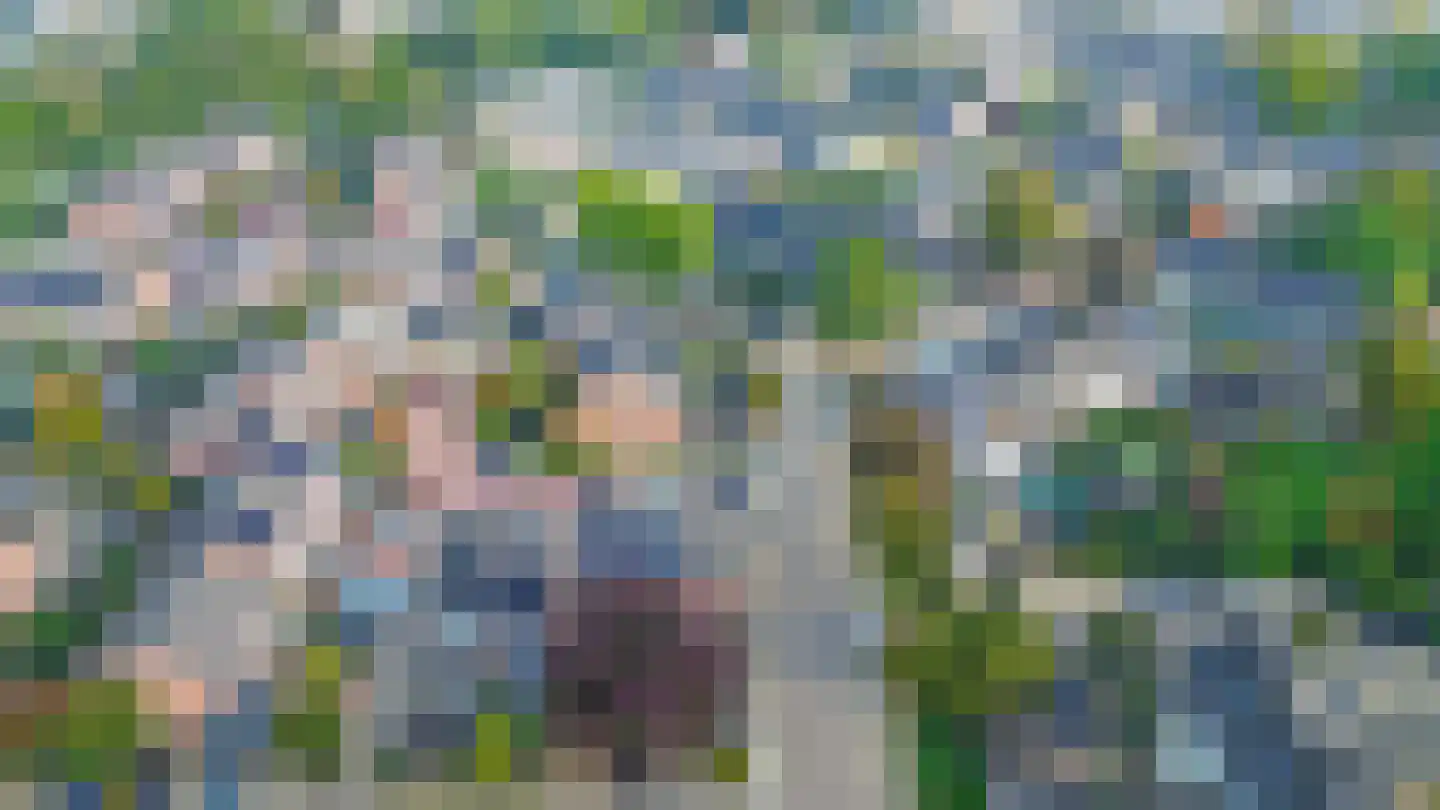 Kievietdonk 85 Veghel thumbnail 47