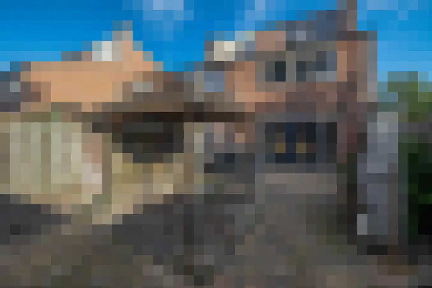 Kievietdonk 85 Veghel thumbnail 6