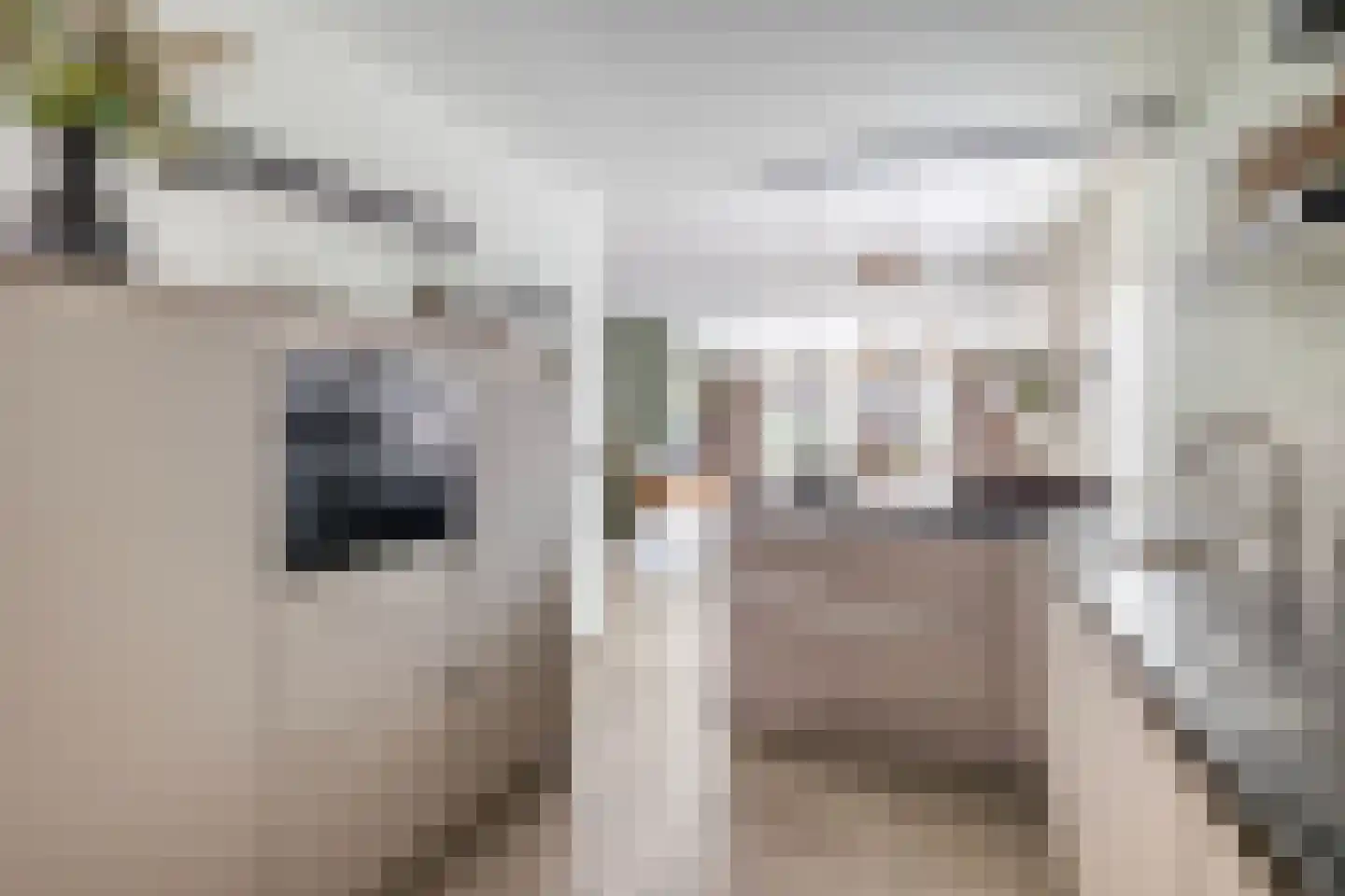 Kievietdonk 89 Veghel thumbnail 10