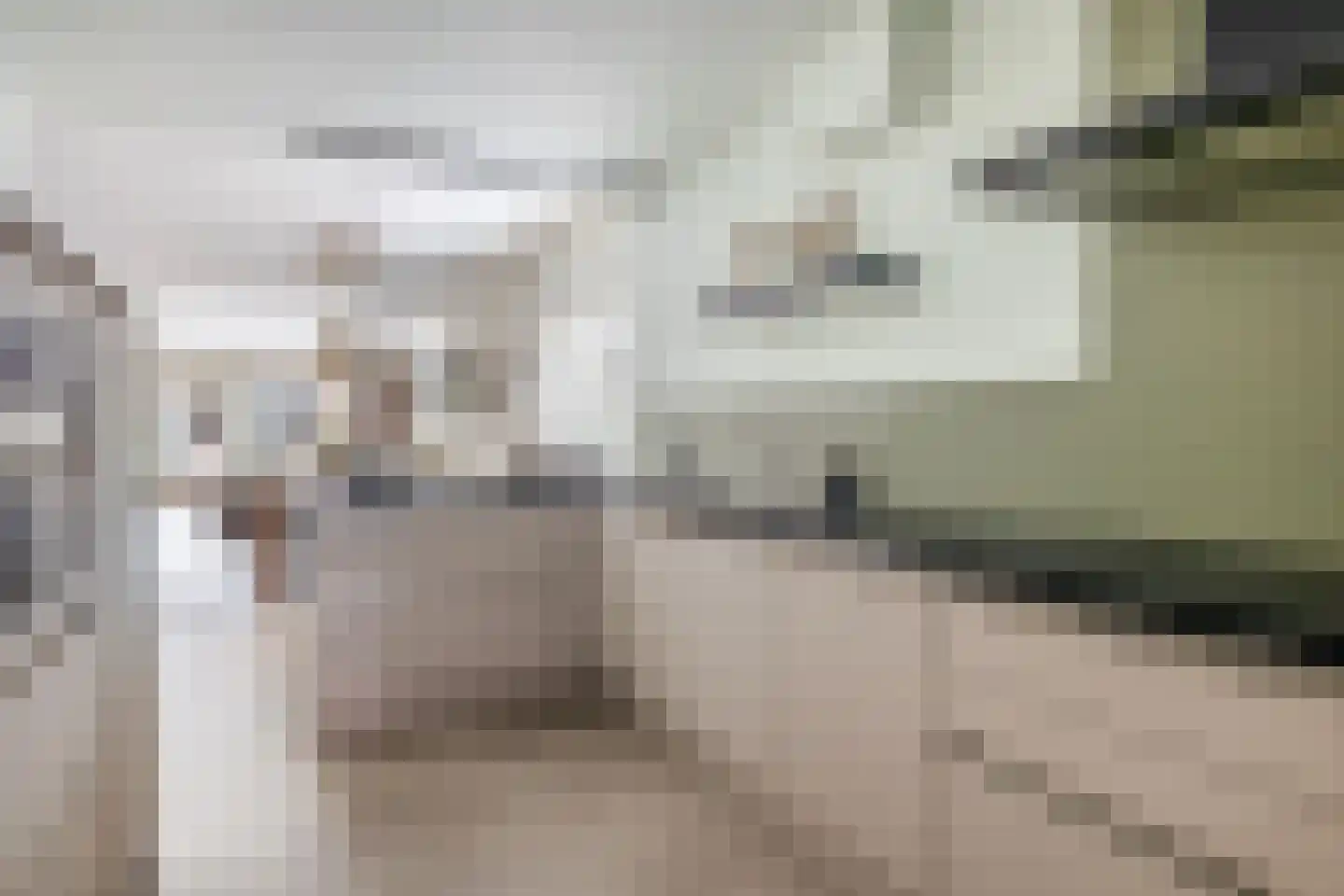 Kievietdonk 89 Veghel thumbnail 11