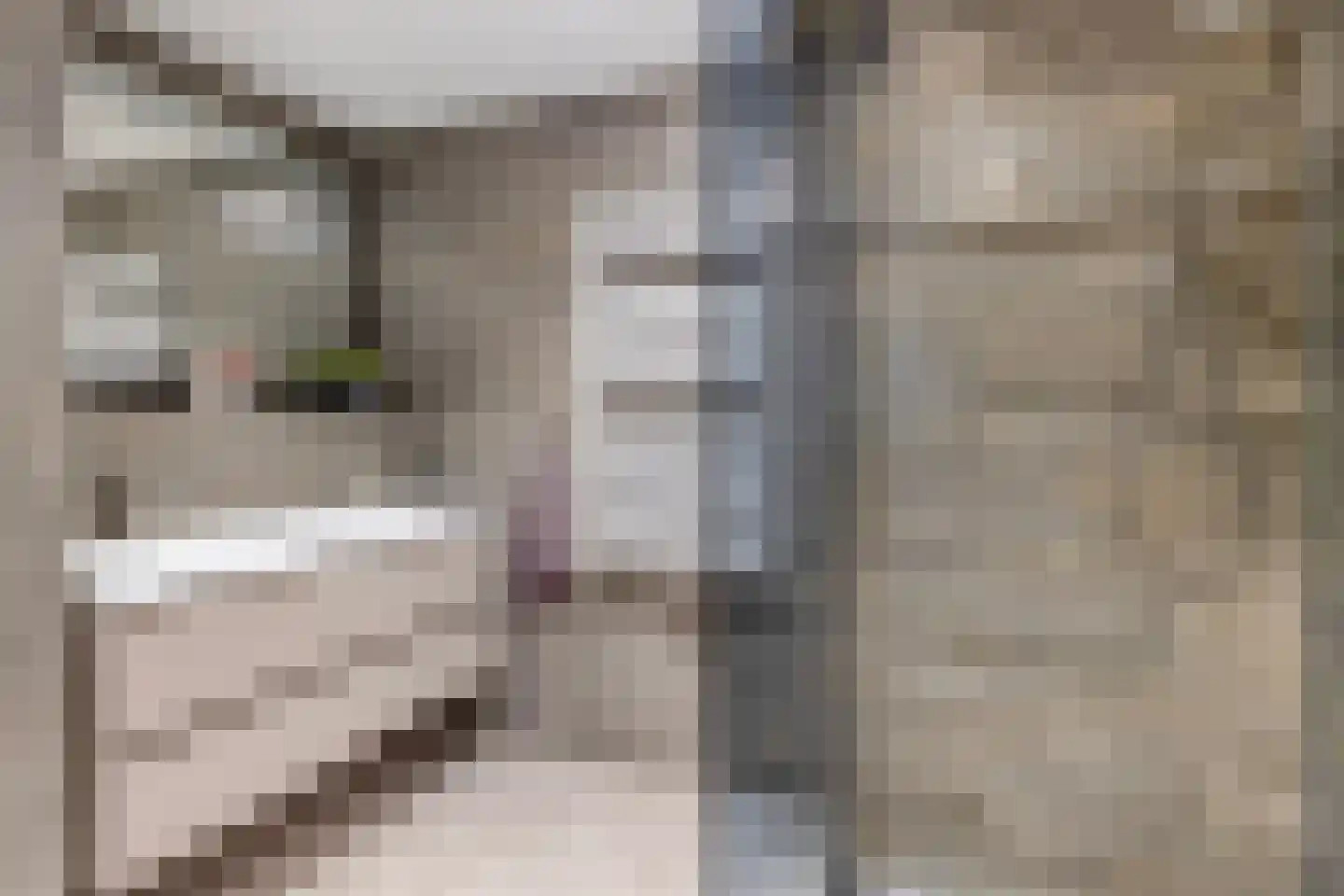 Kievietdonk 89 Veghel thumbnail 18