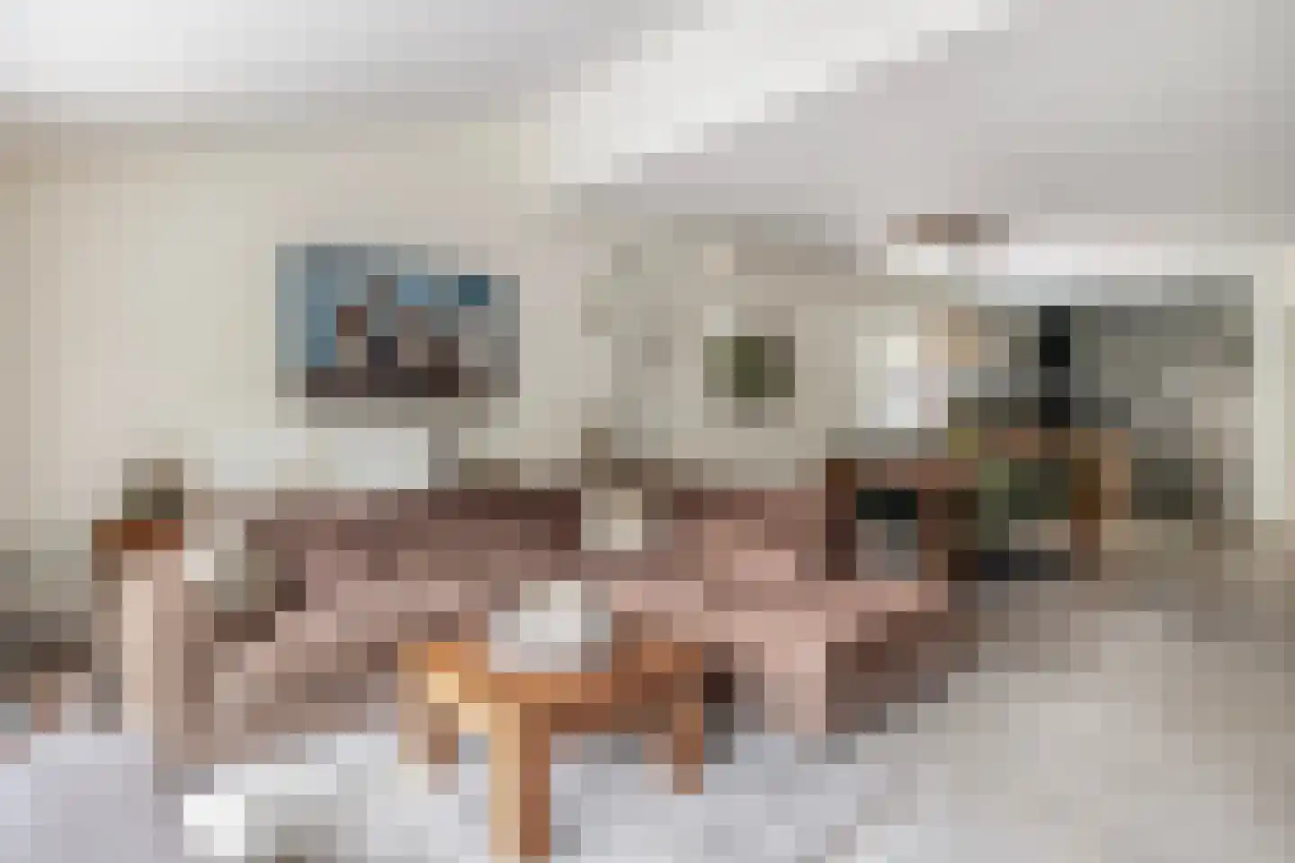 Kievietdonk 89 Veghel thumbnail 4