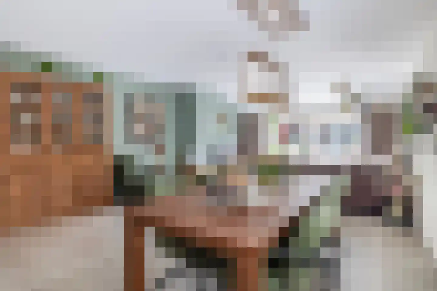 Kievietdonk 89 Veghel thumbnail 8