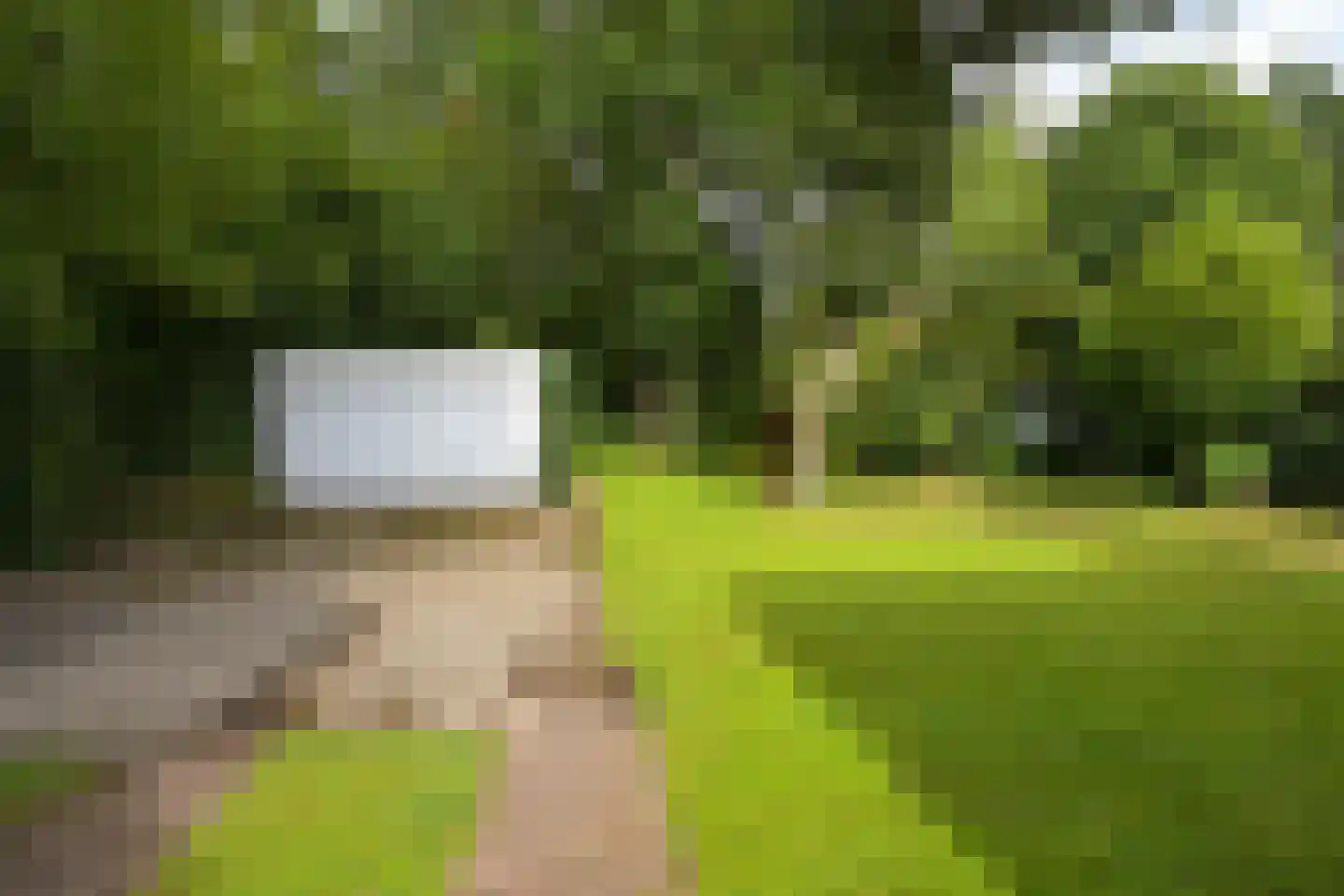 Kievietslaan 30 Wassenaar thumbnail 36