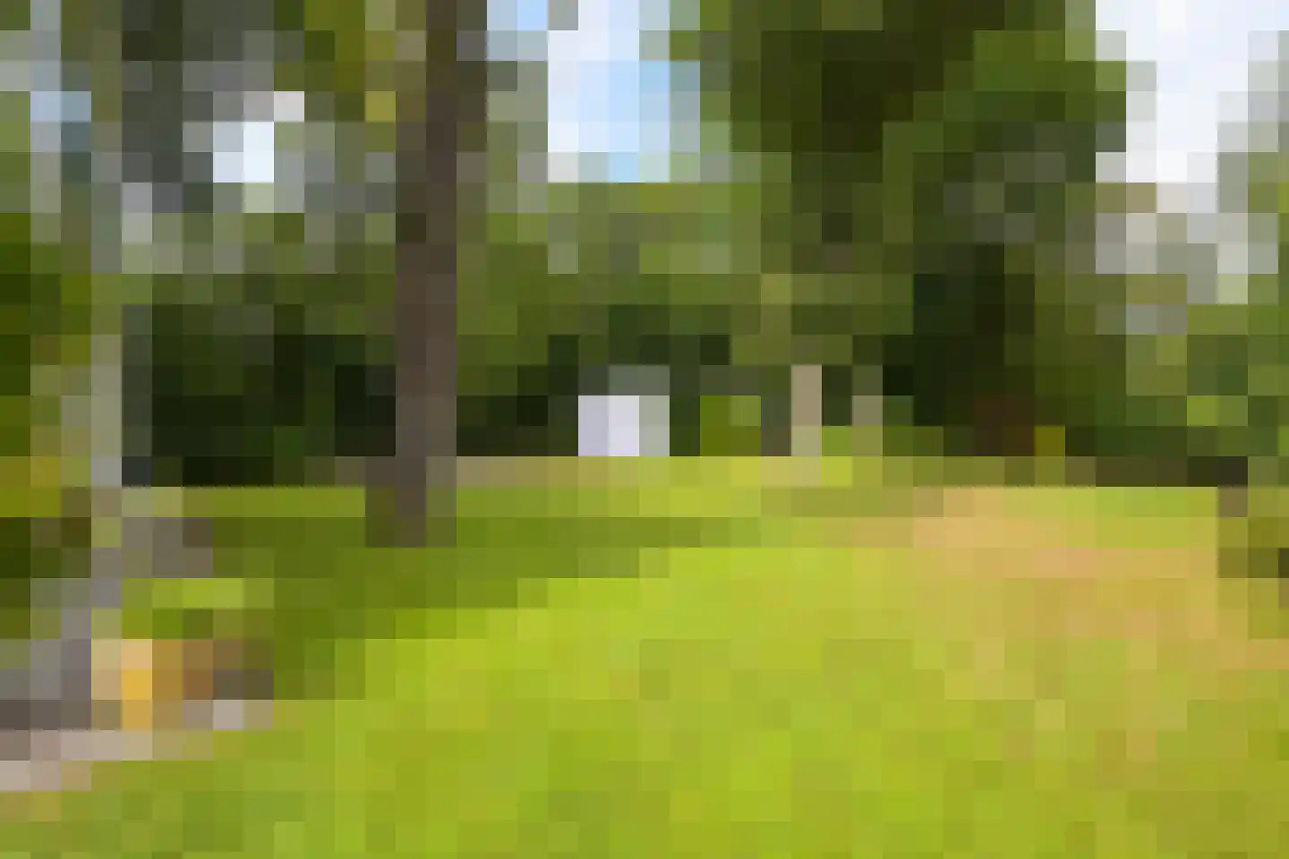 Kievietslaan 30 Wassenaar thumbnail 38