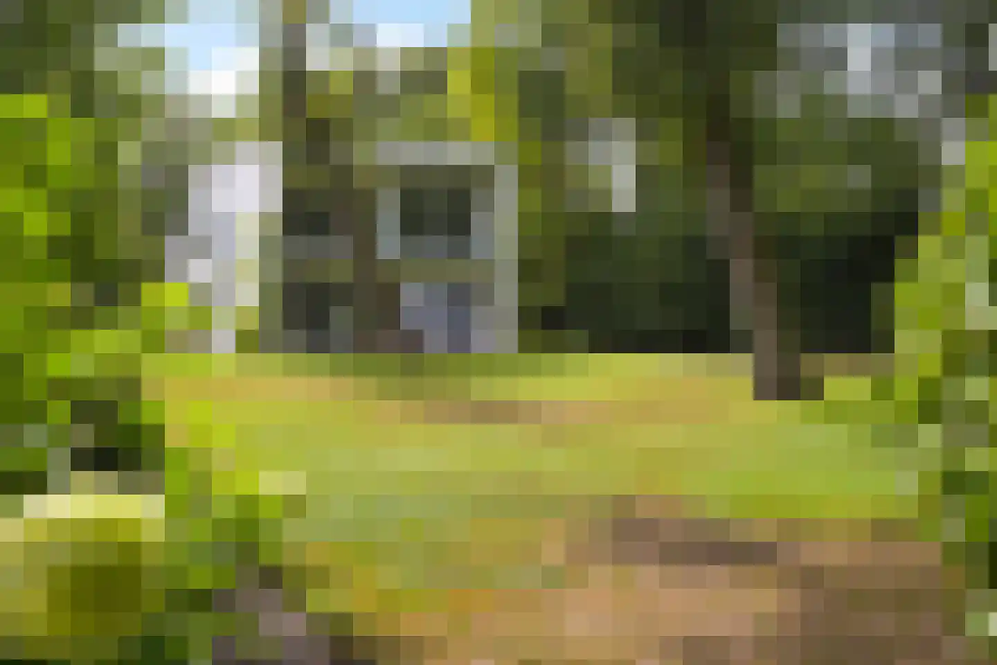 Kievietslaan 30 Wassenaar thumbnail 39
