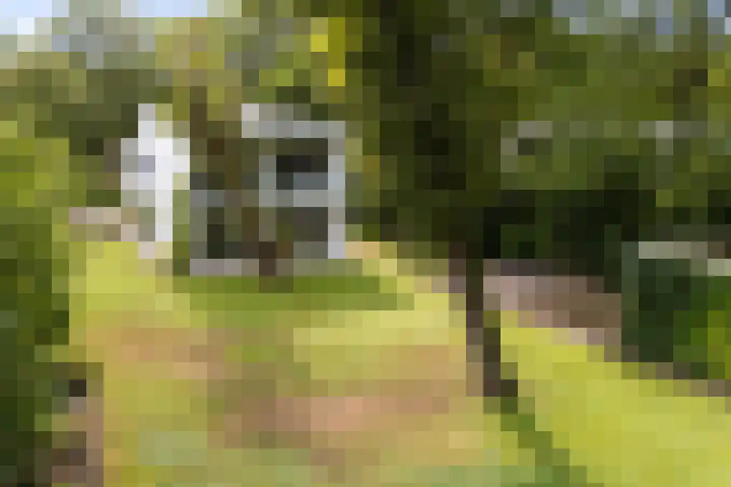 Kievietslaan 30 Wassenaar thumbnail 4