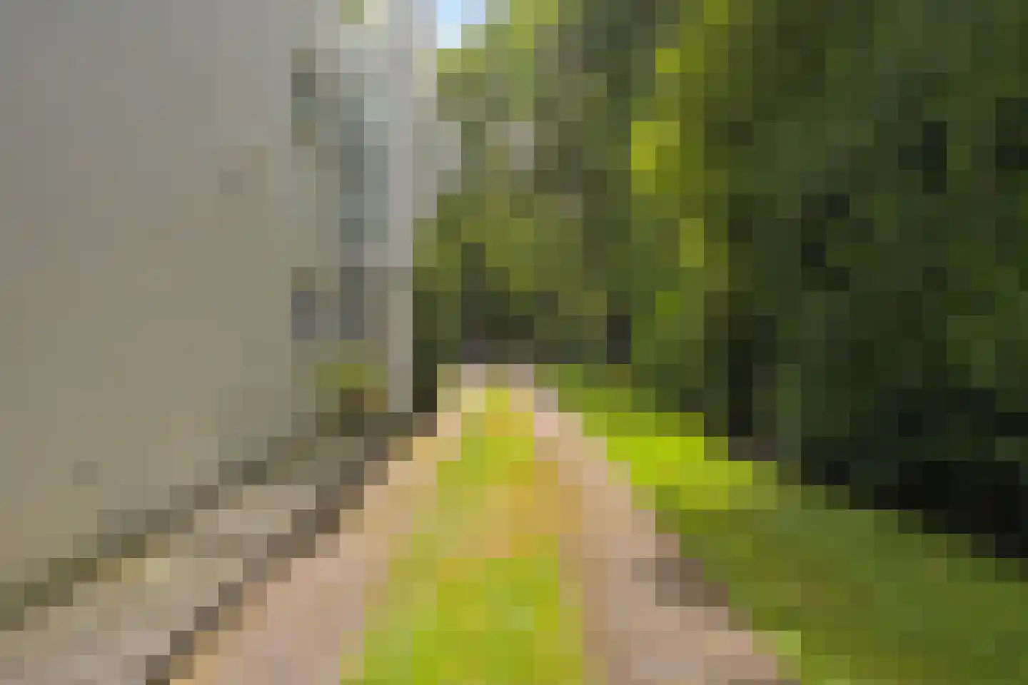 Kievietslaan 30 Wassenaar thumbnail 43
