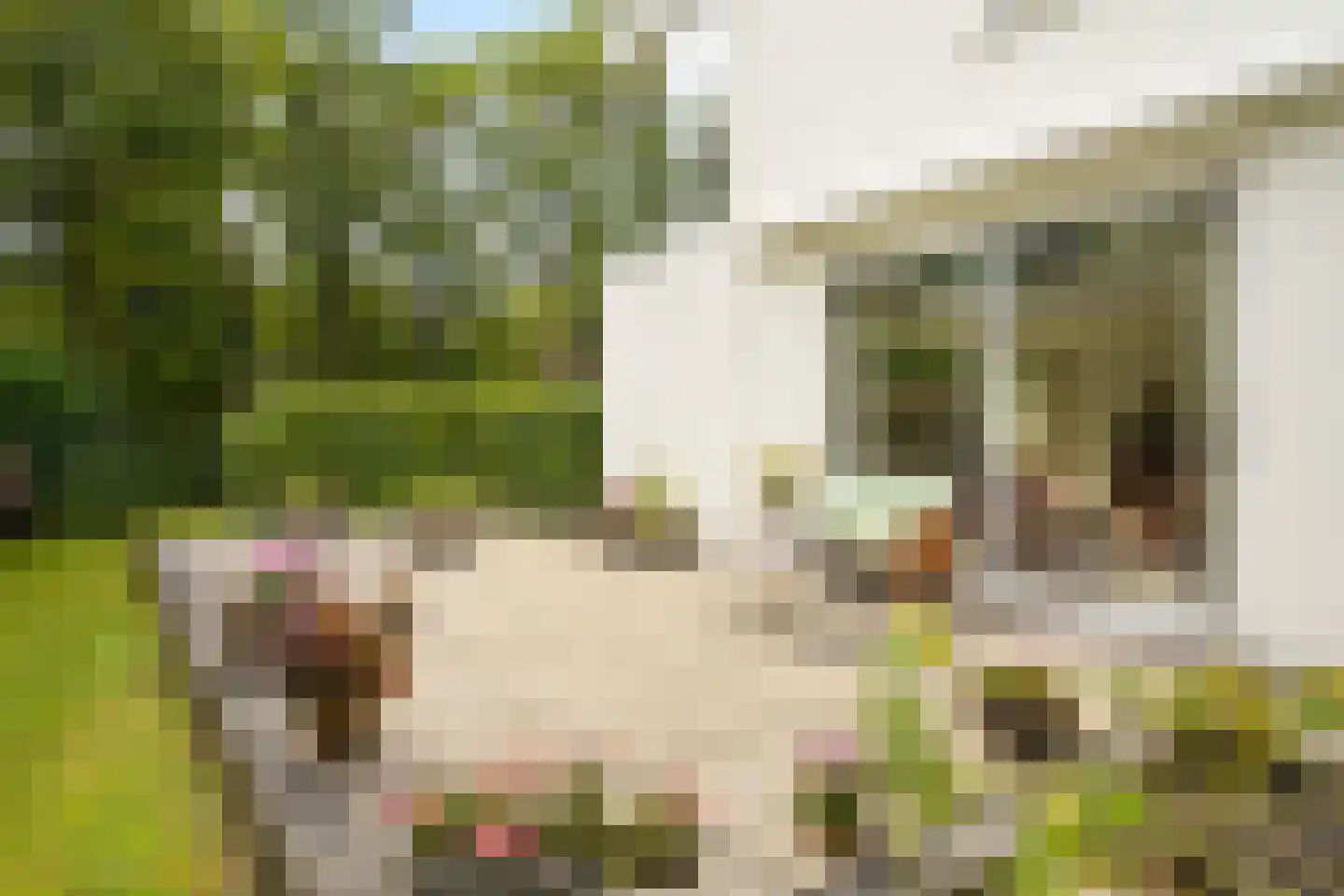 Kievietslaan 30 Wassenaar thumbnail 47