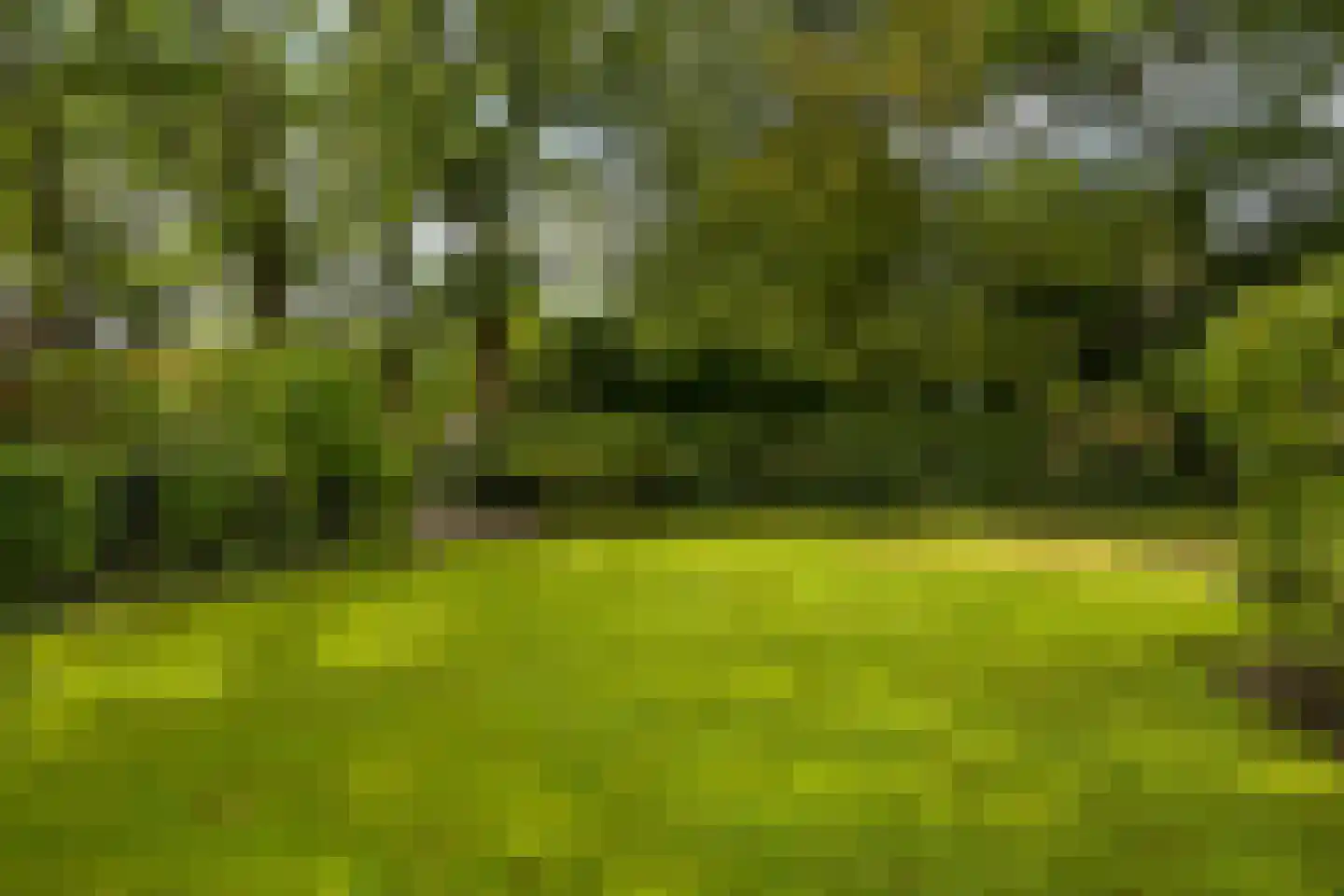 Kievietslaan 30 Wassenaar thumbnail 50