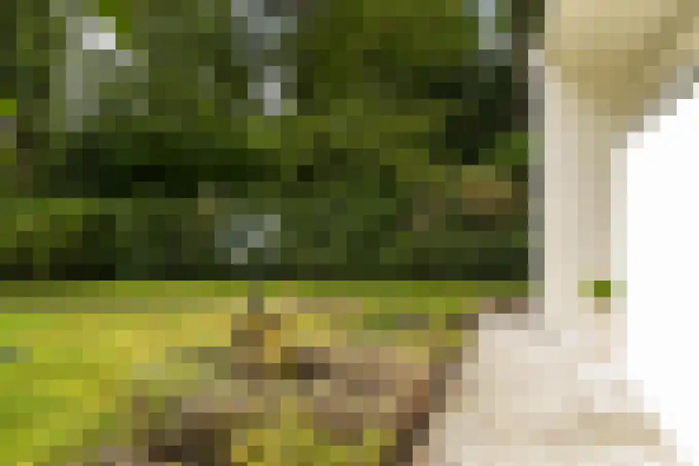 Kievietslaan 30 Wassenaar thumbnail 52
