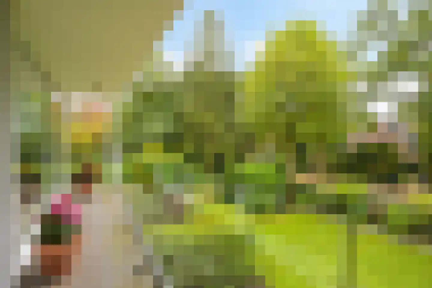 Kievietslaan 30 Wassenaar thumbnail 62