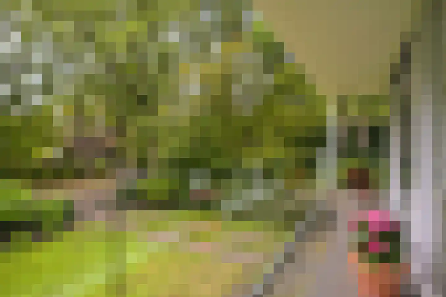 Kievietslaan 30 Wassenaar thumbnail 63