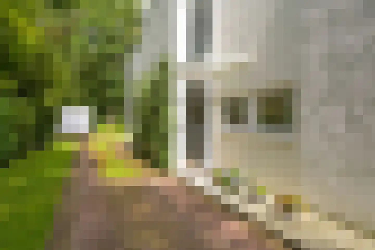 Kievietslaan 30 Wassenaar thumbnail 7