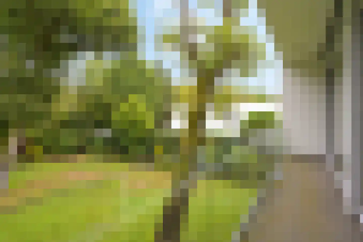 Kievietslaan 30 Wassenaar thumbnail 78