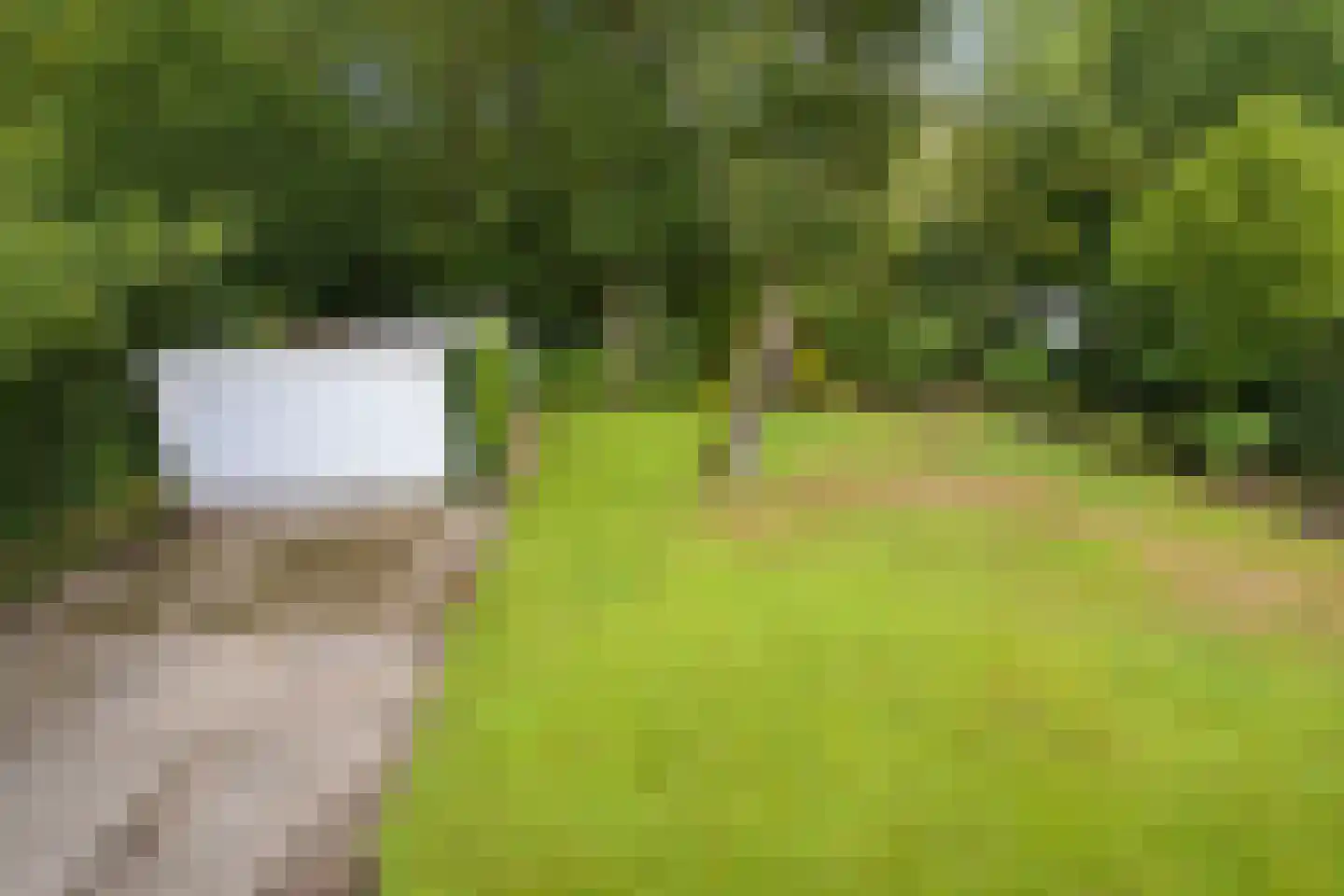Kievietslaan 30 Wassenaar thumbnail 79