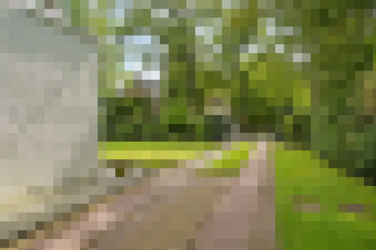 Kievietslaan 30 Wassenaar thumbnail 8