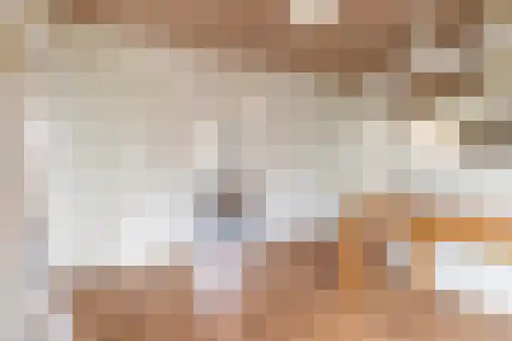 Kievit 1 Grootegast thumbnail 16